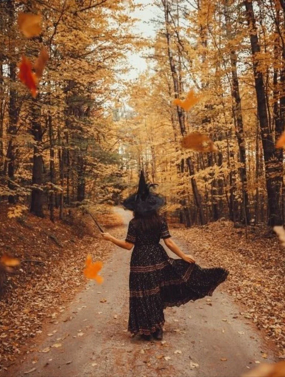 Samhain ~ Oktoberfest ~ Ritual Oil ~ Witchcraft ~ Halloween ~ Spirit Night